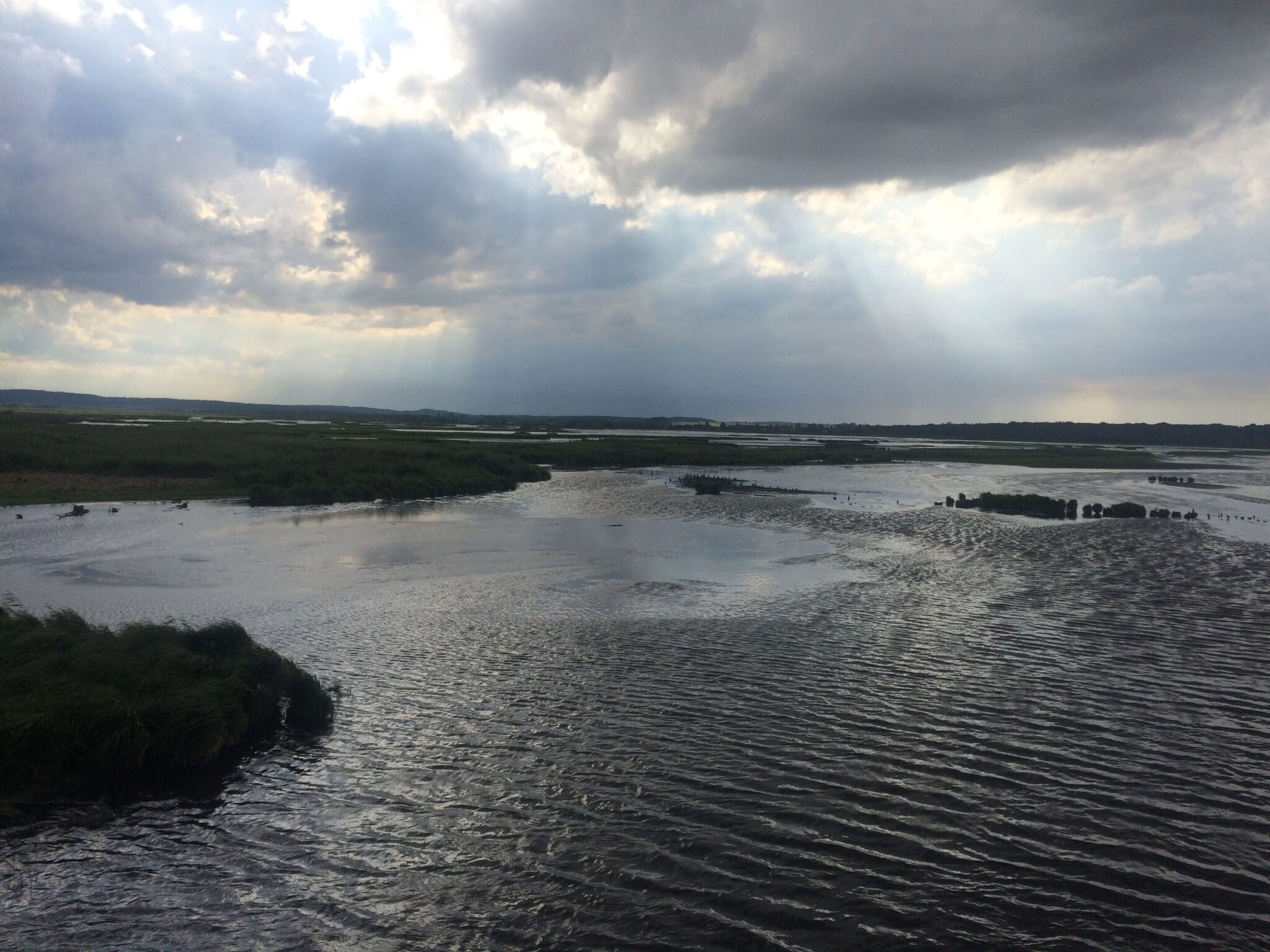 Blick auf die die Peene bei schlechtem Wetter