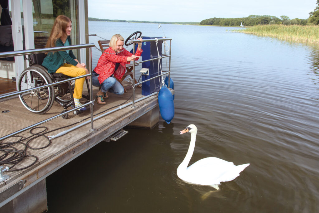 Schwäne füttern auf dem Hausboot